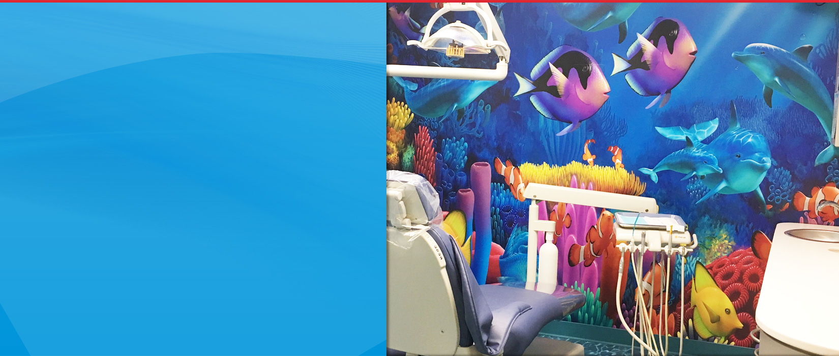 Quakertown Pediatric Dentist Quakertown Pennsylvania 18951 Dentist